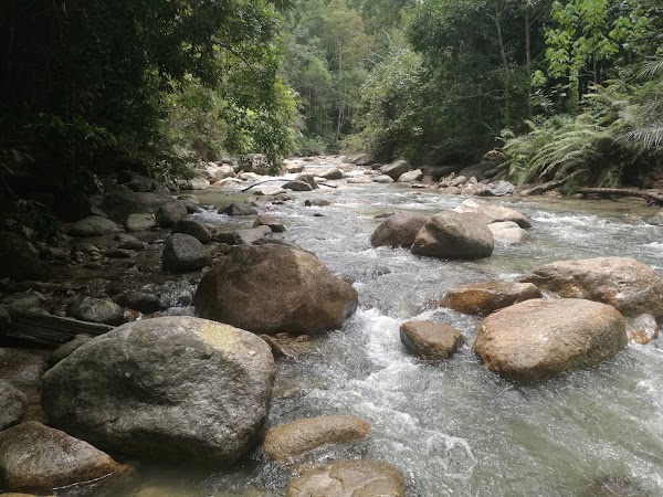 Sungai Chiling Fish Sanctuary