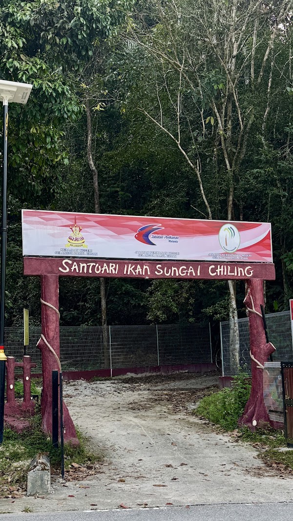Sungai Chiling Fish Sanctuary 3