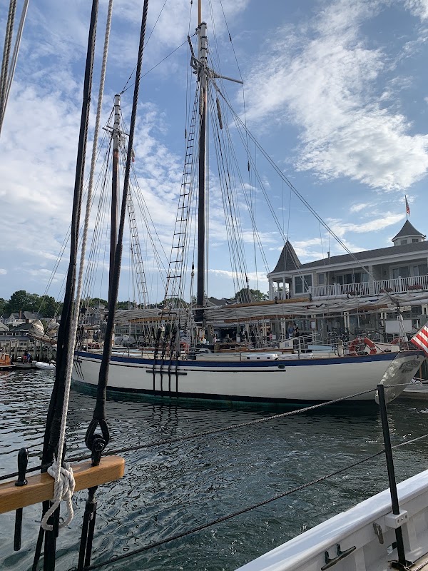 Camden Harbor 3