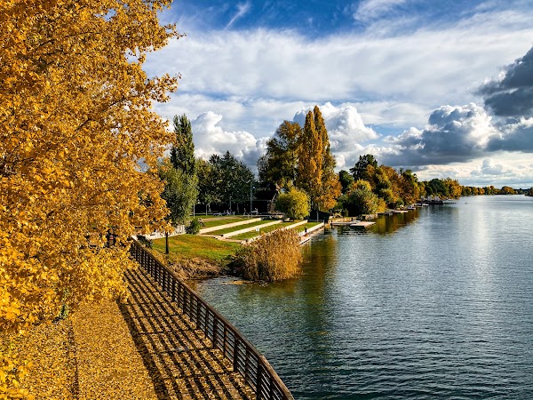 Alte Donau 5