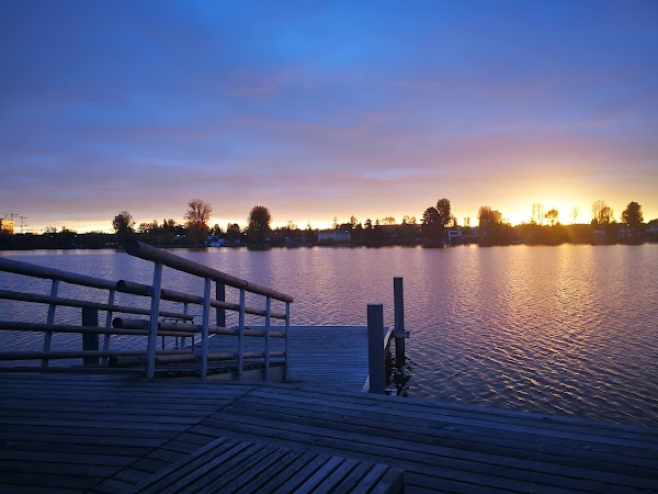 Alte Donau 4