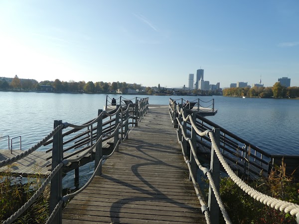 Alte Donau 3