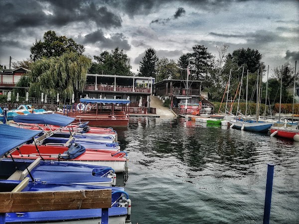 Alte Donau 2