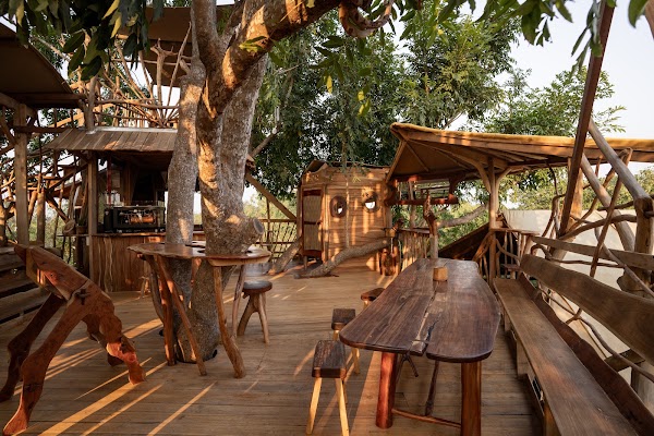 The Tree Top Kafe