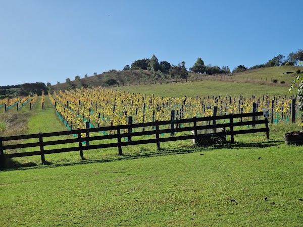 Postage Stamp Wines 4