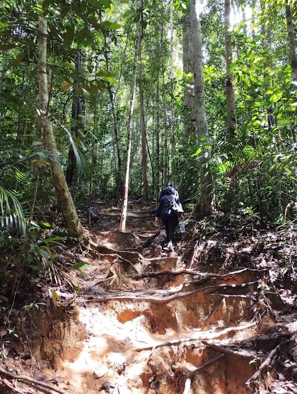 Bukit Terisek 5