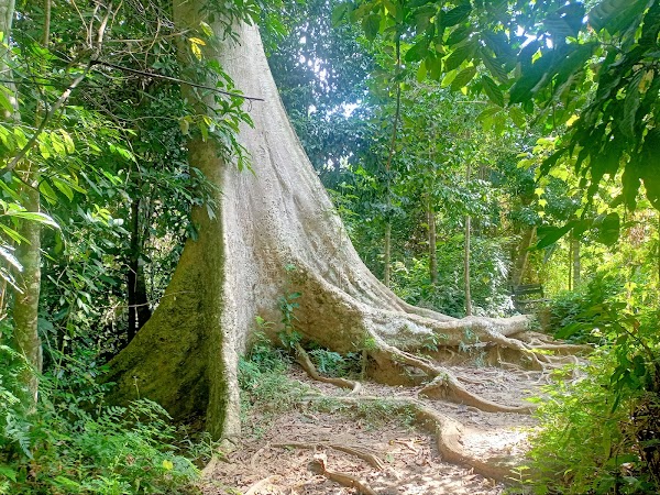 Bukit Terisek 2