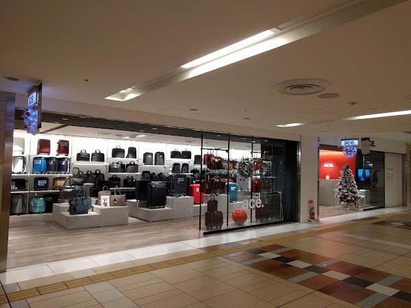 Yaechika (Yaesu Shopping Mall) 2