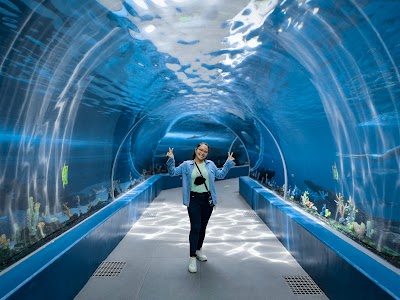 Cebu Ocean Park