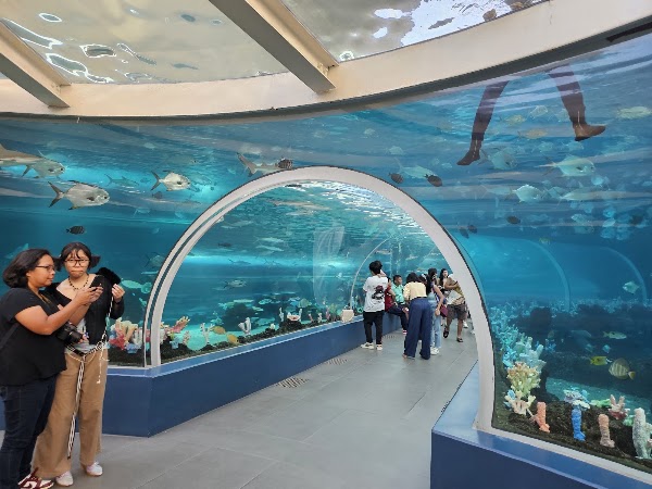 Cebu Ocean Park 5