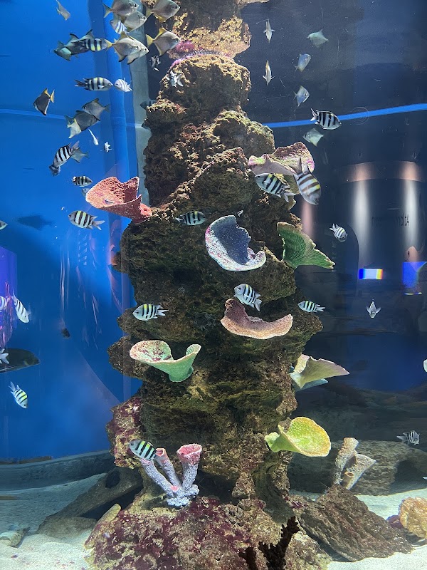 Cebu Ocean Park 3
