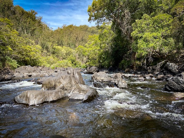 Platypus Flat campground 2