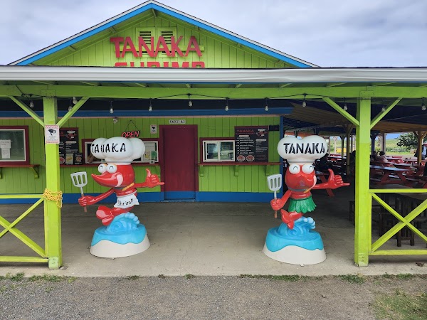 Hawaii 37