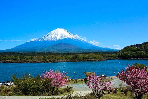 Lake Shōji 1