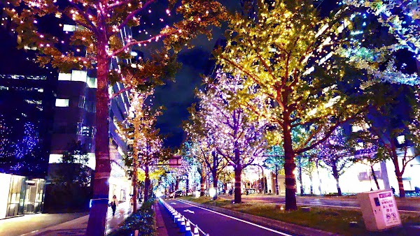Midosuji illuminstion Road