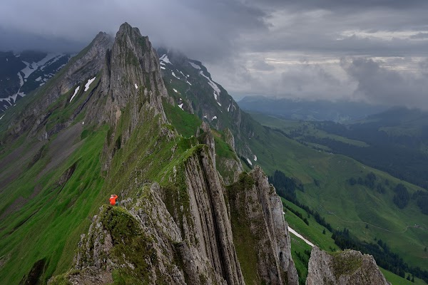 Schäfler