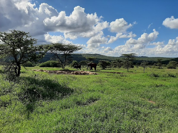 Ol Jogi Wildlife Conservancy