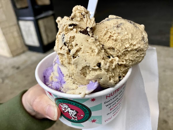 Sprinkles Ice Cream Shoppe 2