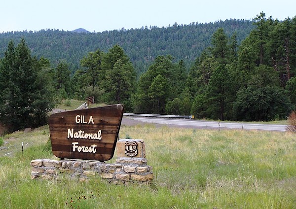 Gila National Forest 1