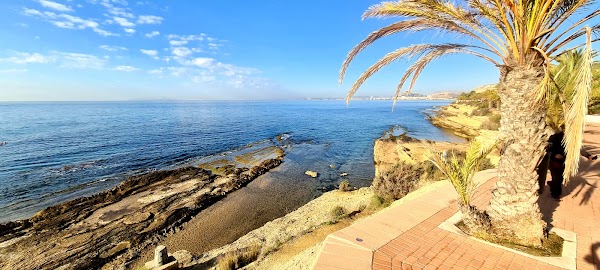 Alicante 5
