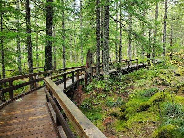Trail of Two Forests Interpretive Site