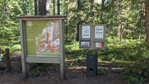 Trail of Two Forests Interpretive Site 4