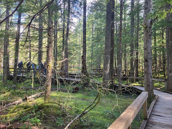 Trail of Two Forests Interpretive Site 3
