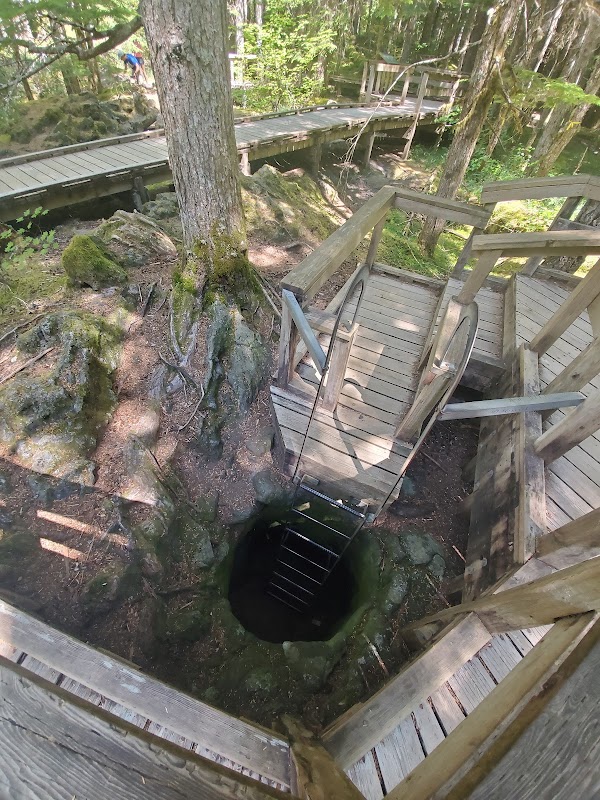 Trail of Two Forests Interpretive Site 2