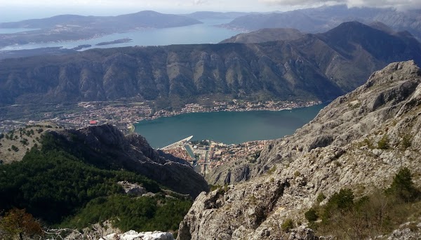 Montrenago