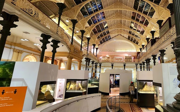 National Museum of Ireland, Kildare Street 5