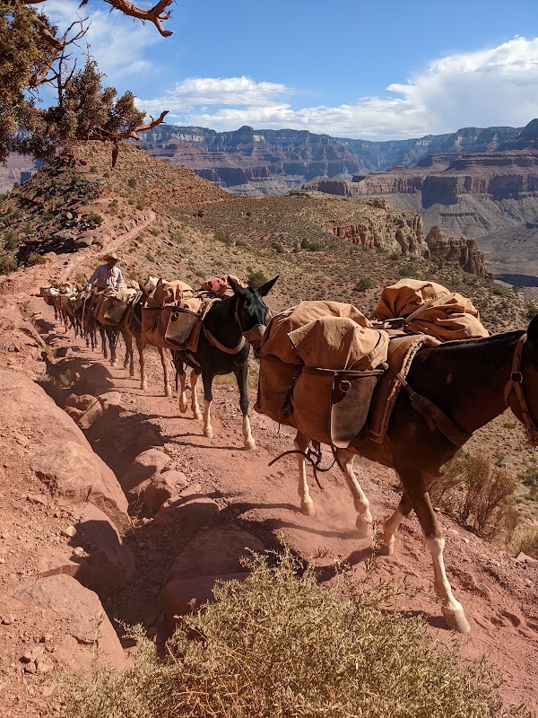 South Kaibab Trail 4