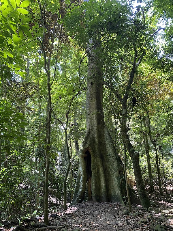 Reserva Natural Cabo Blanco 3