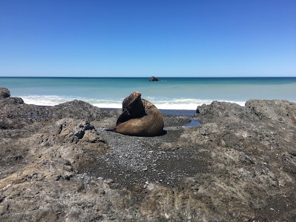 Matakitaki-a-Kupe Reserve