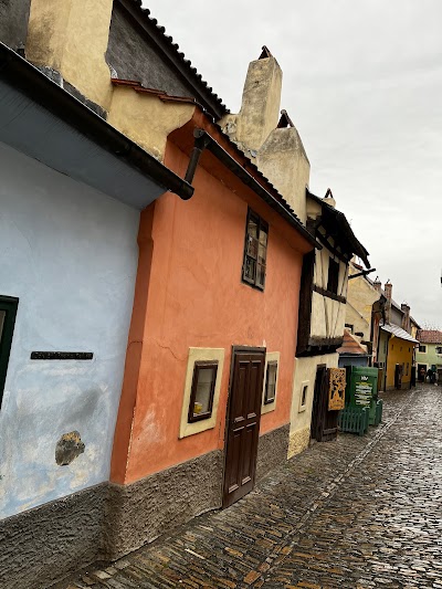 The Golden Lane