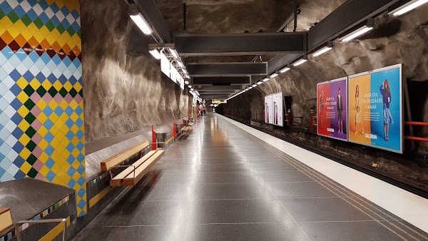 Västra skogen