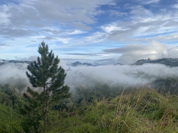 Little adam's peak View Point