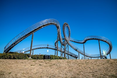 Tiger & Turtle 1
