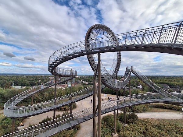 Tiger & Turtle 5