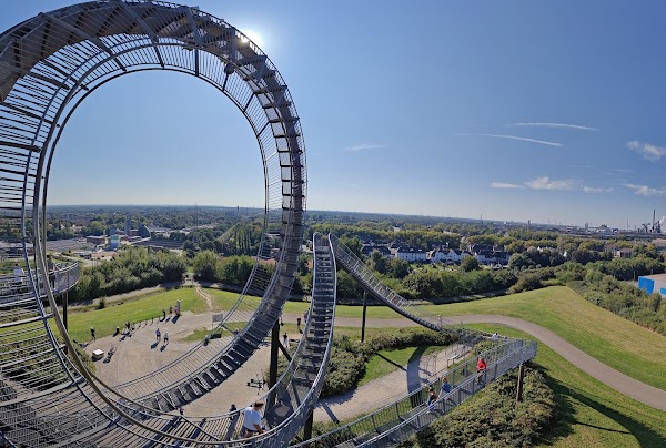 Tiger & Turtle 4