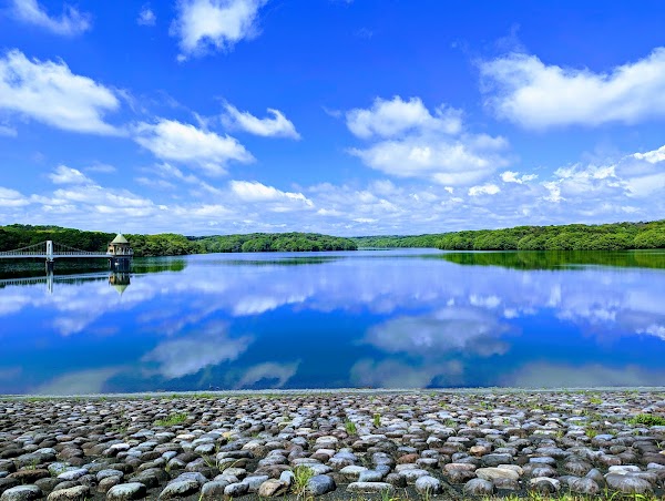 Sayama Nature Park