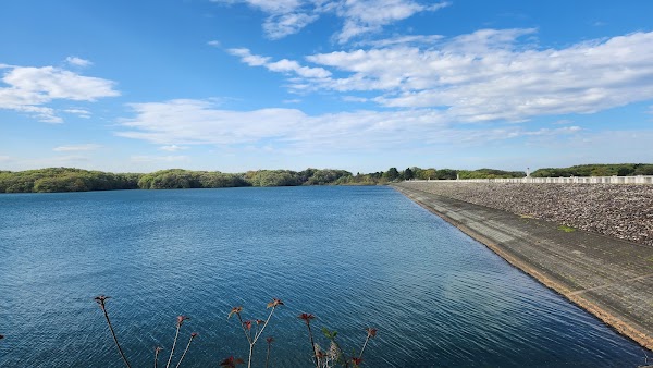Sayama Nature Park 5