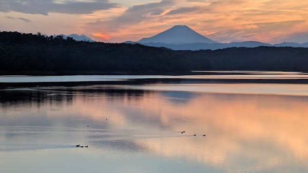 Sayama Nature Park 3