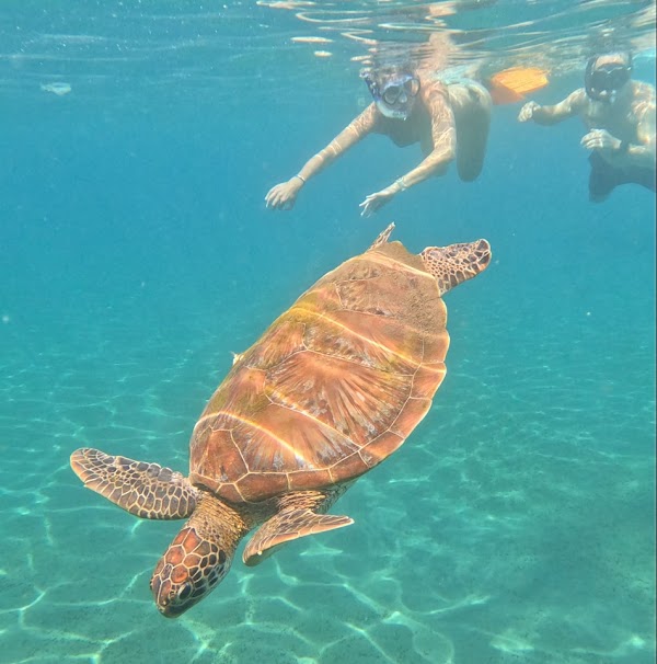 Amed Snorkeling Tour