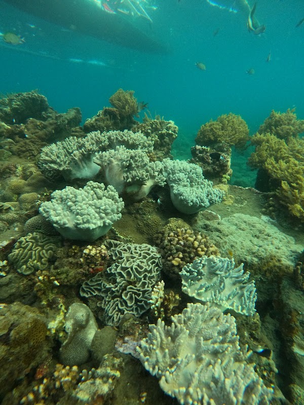 Amed Snorkeling Tour 5