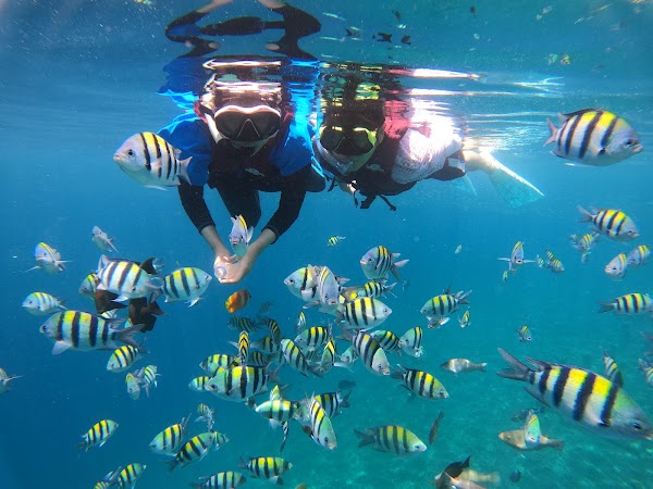 Amed Snorkeling Tour 4