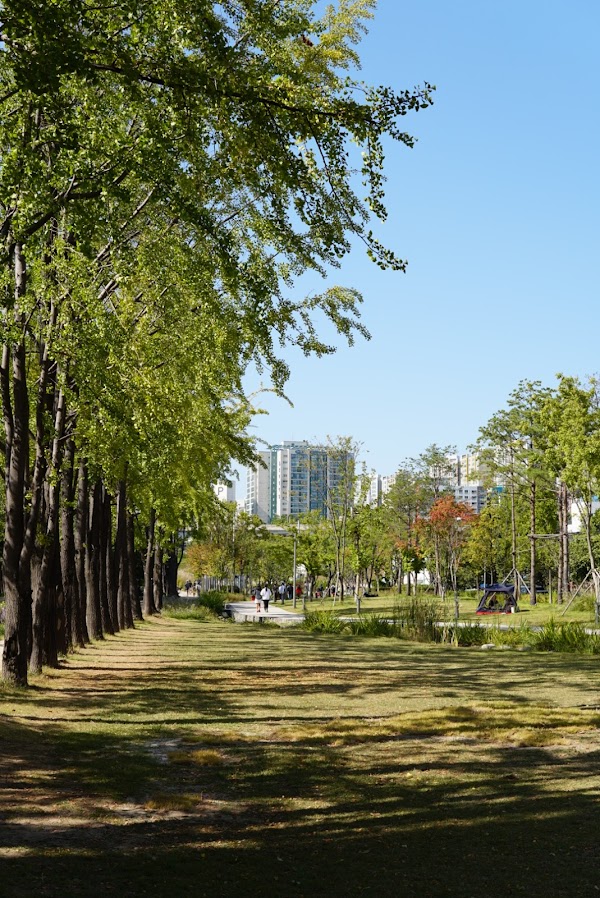 Yeontral Park 1