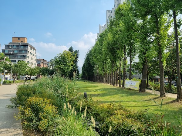 Yeontral Park 5