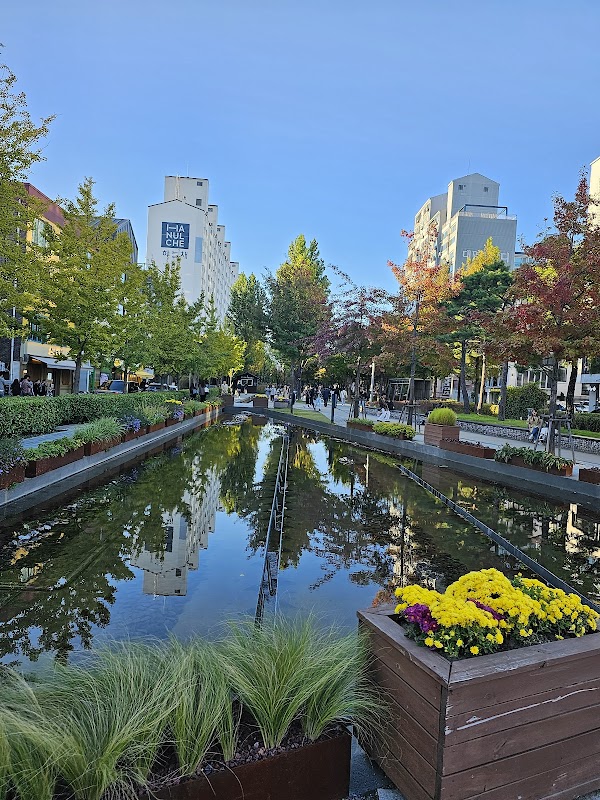 Yeontral Park 4