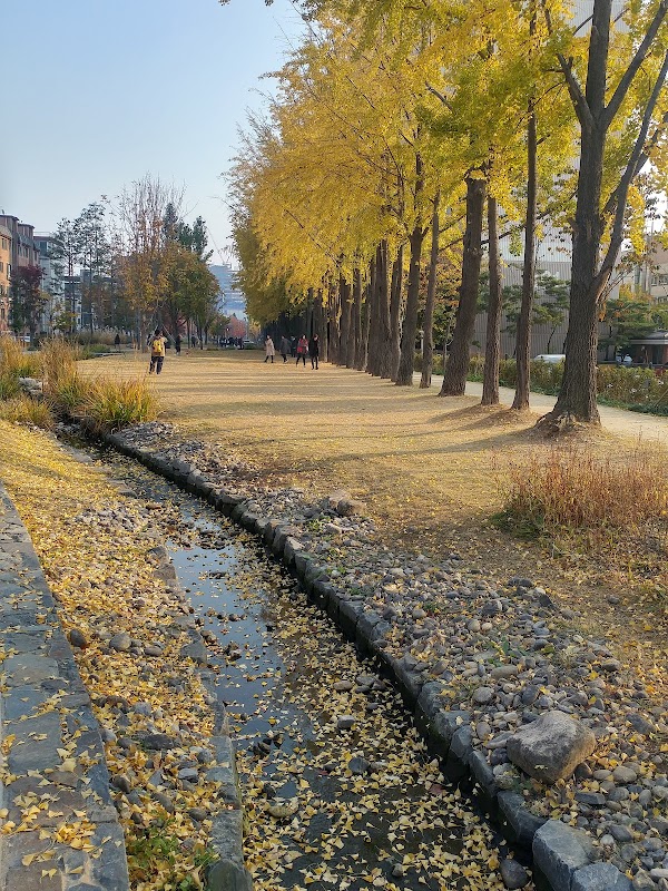 Yeontral Park 3