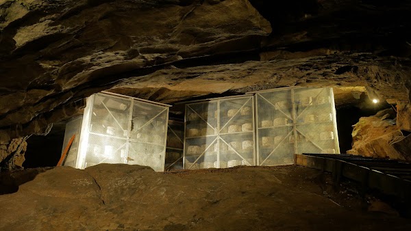 Cheddar Gorge and Caves 4